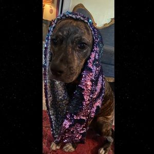 Reversible Sequin Holographic Infinity Hood